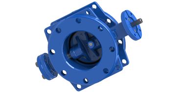 RAL5010 SS316L Disk Seat Double Eccentric Butterfly Valve DN350mm