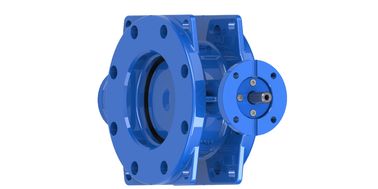 AWWA C504 150PSI katup kupu-kupu eksentrik ganda