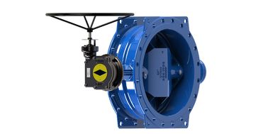 SS316L Disc Ring Double Eccentric Butterfly Valve Kepala kosong