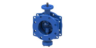 RAL5010 SS316L Disk Seat Double Eccentric Butterfly Valve DN350mm