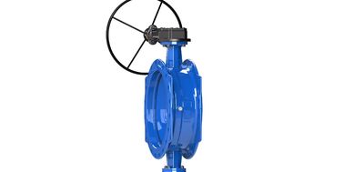 Disk Double Excentric Butterfly Valve Epoxy yang dilapisi dengan Worm Gear