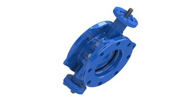 AWWA C504 150PSI katup kupu-kupu eksentrik ganda