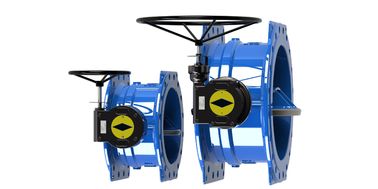 FBE Lapisan Double Eksentrik Kupu Klep Disc Dengan SS316 Sealing Ring