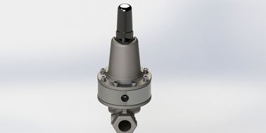 Aksesoris katup kontrol pilot tekanan yang dapat diatur SS304 Outlet bodi