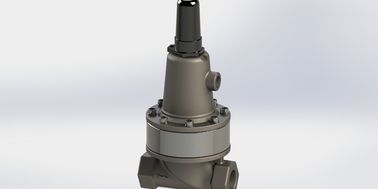 Aksesoris katup kontrol pilot tekanan yang dapat diatur SS304 Outlet bodi
